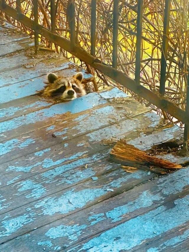 Подборка прикольных фото №3873