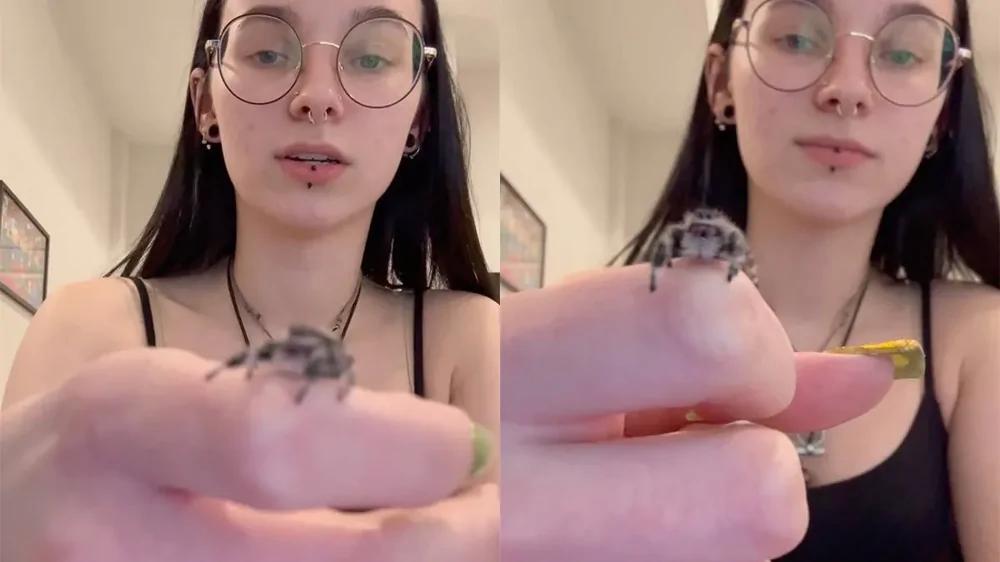 Паук‑скакун поднимает лапку при приветствии
Паук‑скакун поднимает лапку при приветствии