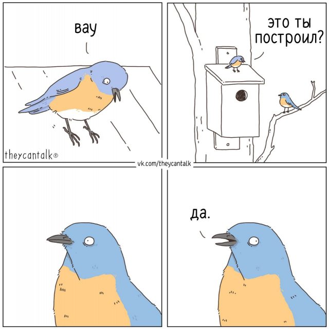 Лучшие шутки и мемы из Сети - 29.01.2026 (15 фото) Лучшие шутки и мемы из Сети - 29.01.2026 (15 фото)