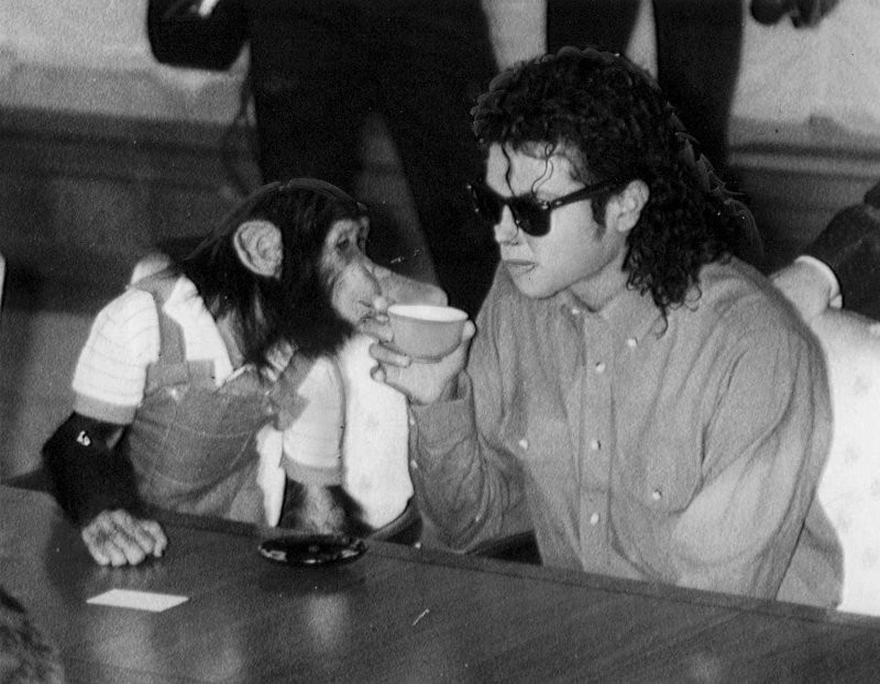 
        8&nbsp;знаменитостей, решившихся завести экзотических питомцев    