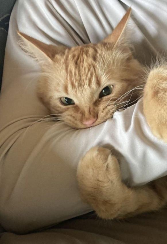 Подборка прикольных фото №3871