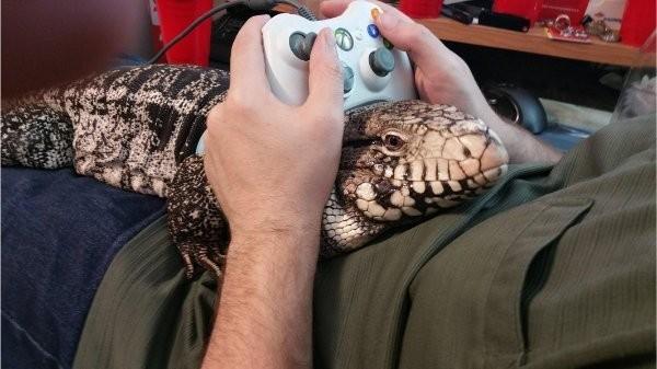 Подборка прикольных фото №3865