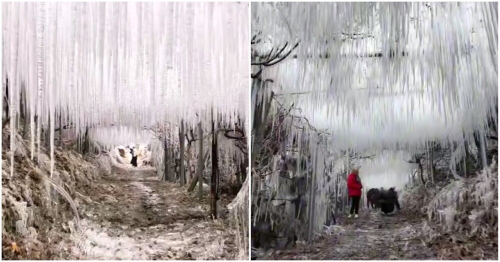 
        Опасная тропа на&nbsp;горе в&nbsp;Китае    