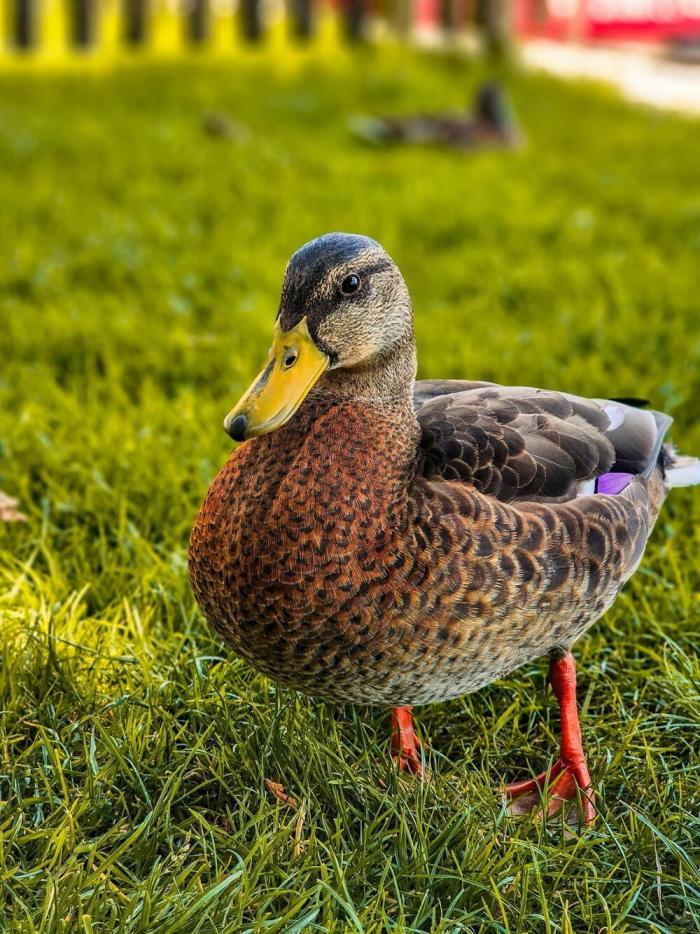 Подборка прикольных фото №3874