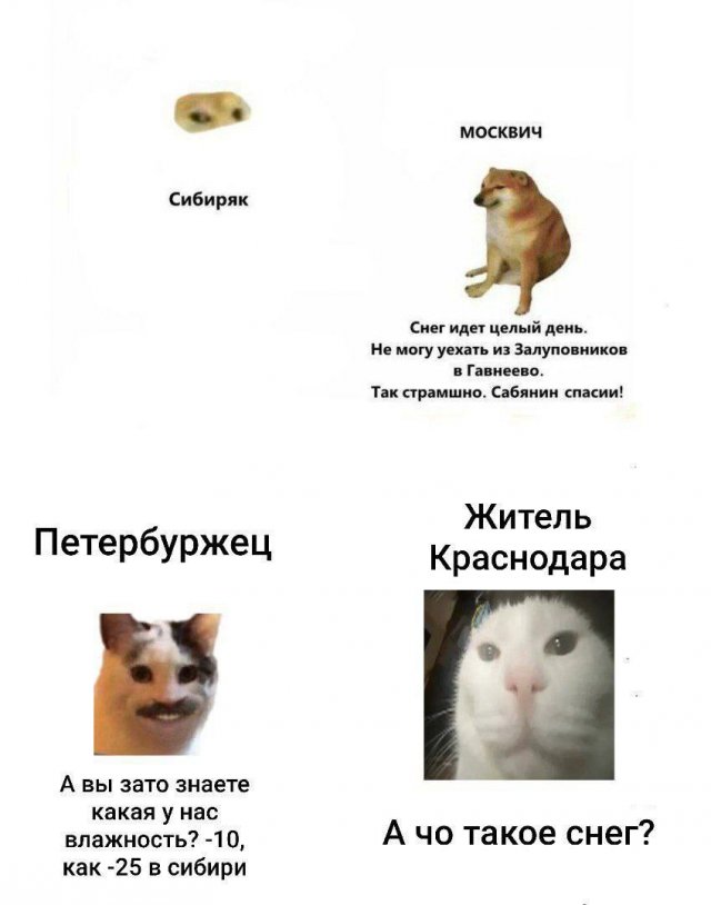 Смешные картинки - 26.01.2026 (15 фото)