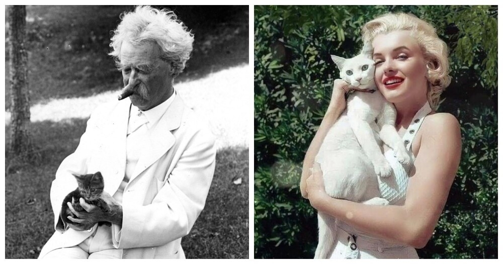 23 винтажных снимка, демонстрирующих неразрывную связь знаменитостей с их пушистыми компаньонами
23 винтажных снимка, демонстрирующих неразрывную связь знаменитостей с их пушистыми компаньонами