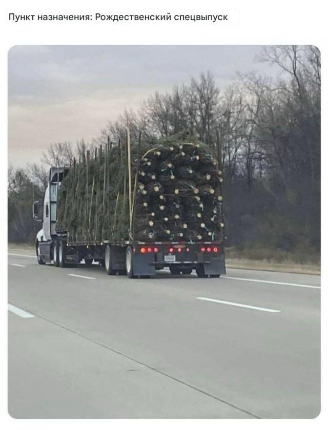 Подборка прикольных фото №3860