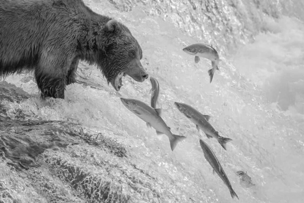 Monovisions Photography Awards 2025
Monovisions Photography Awards 2025