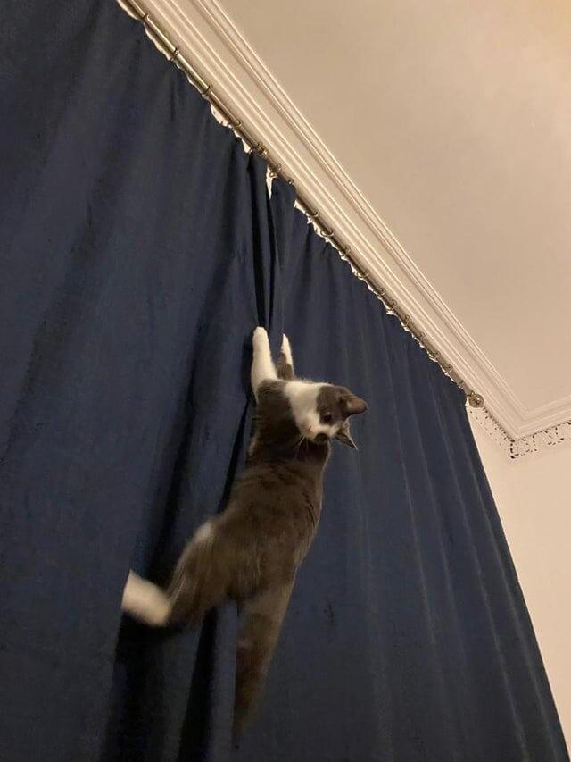 18 животных, которые перешли все границы дозволенного
18 животных, которые перешли все границы дозволенного