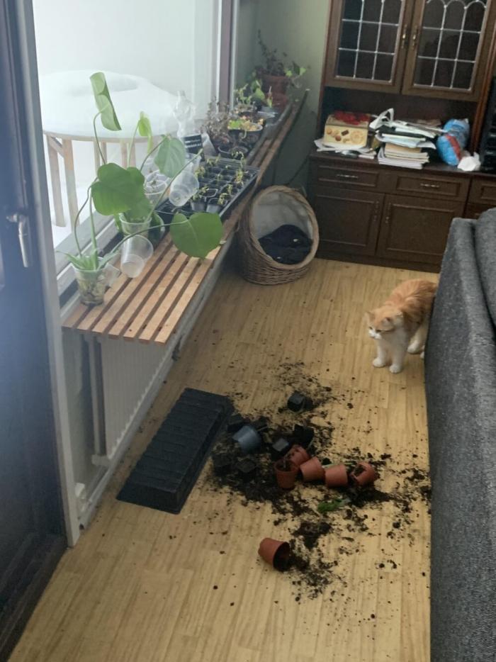 Подборка прикольных фото №3870