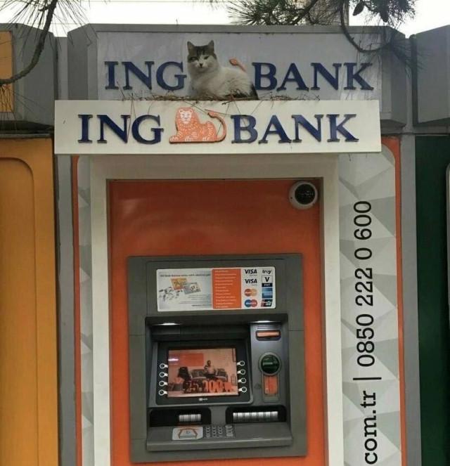 Подборка прикольных фото №3860