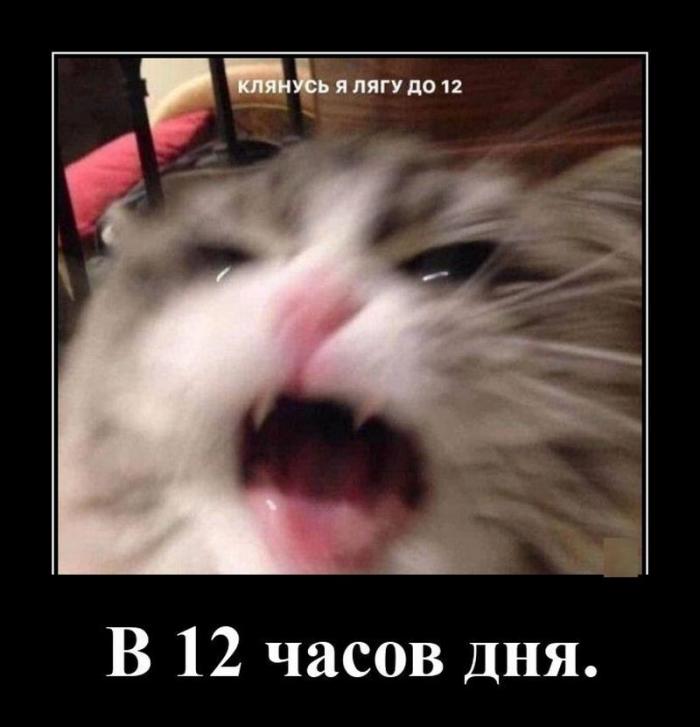 
			Демотиваторы №3781 (15 фото)