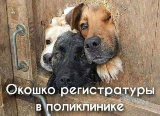 Лучшие шутки и мемы из Сети - 27.01.2026 (15 фото)