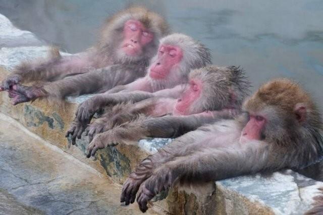 Подборка прикольных фото №3873