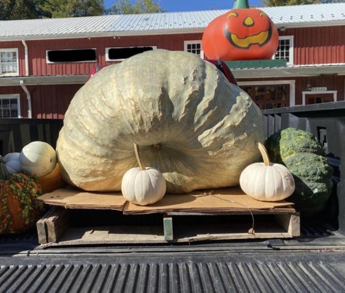 Подборка прикольных фото №3877