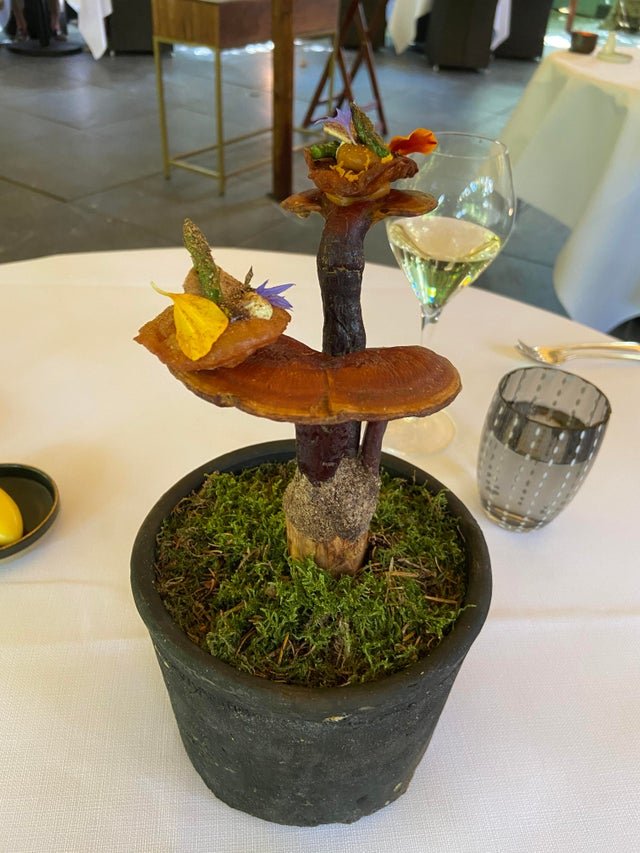 Странная подача блюд в кафе и ресторанах (22 фото)