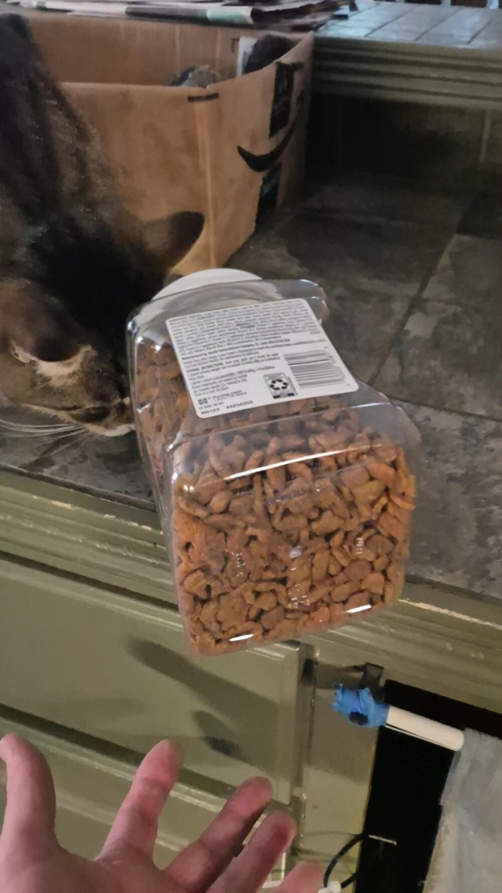 
        25&nbsp;вдохновляющих пушистых помощников, которые властвуют в&nbsp;домах и&nbsp;сердцах    