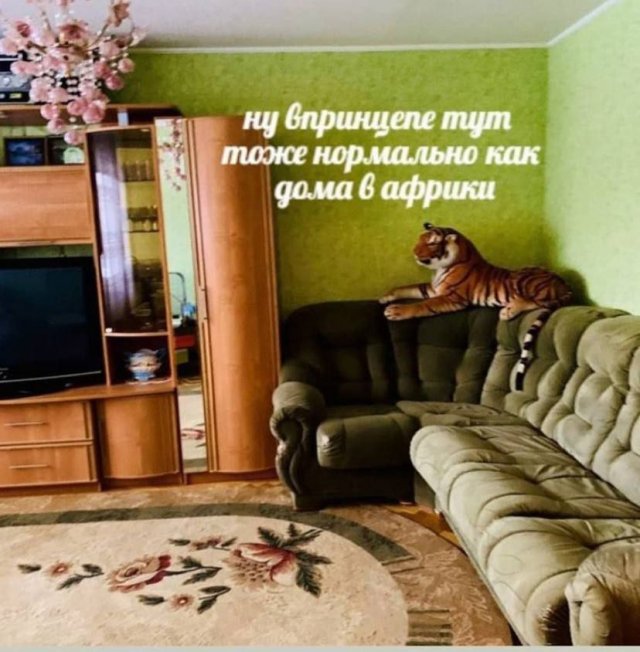 Смешные картинки - 26.01.2026 (15 фото)