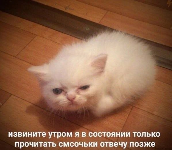 Лучшие шутки и картинки из Сети - 28.01.2026 (15 фото) Лучшие шутки и картинки из Сети - 28.01.2026 (15 фото)