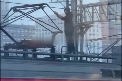 
        Зацеперы вышли на&nbsp;новый уровень    