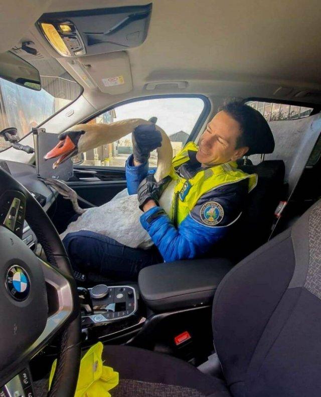 Подборка прикольных фото №3878