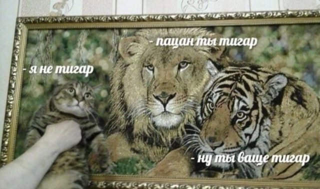 Лучшие шутки и картинки из Сети - 28.01.2026 (15 фото) Лучшие шутки и картинки из Сети - 28.01.2026 (15 фото)