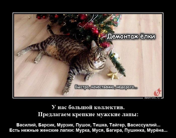 
			Демотиваторы №3781 (15 фото)