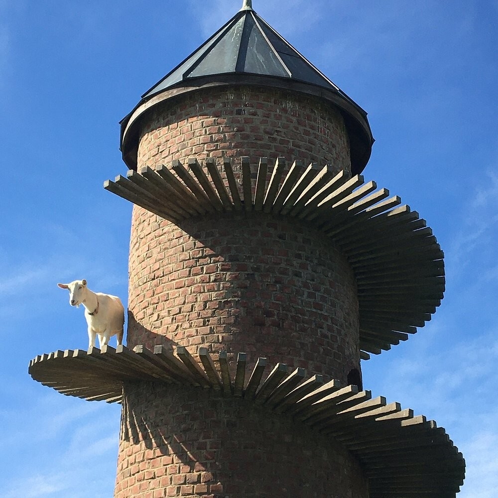 Тайная башня козьей радости в Иллинойсе
Тайная башня козьей радости в Иллинойсе