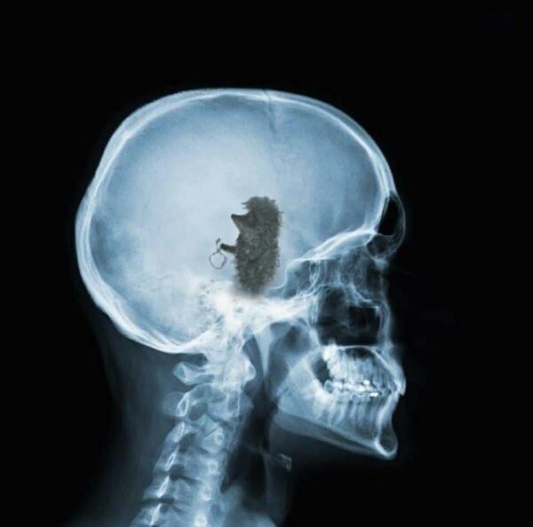 Подборка прикольных фото №3872