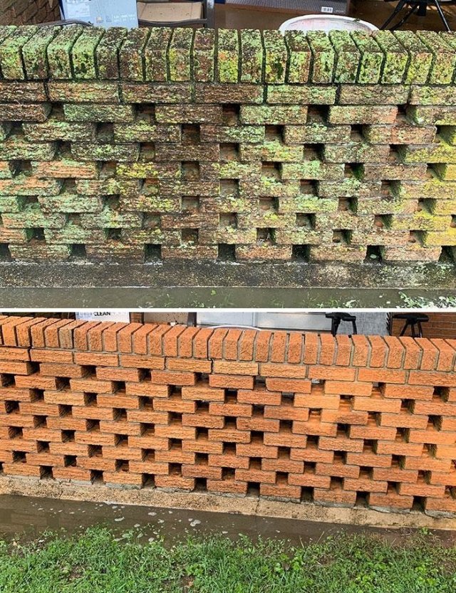 Фотографии, на которых показана вся сила чистоты (27 фото)