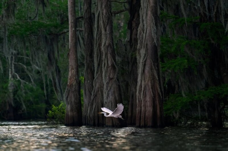 
        Всемирная премия в&nbsp;области фотографии природы 2025 год    