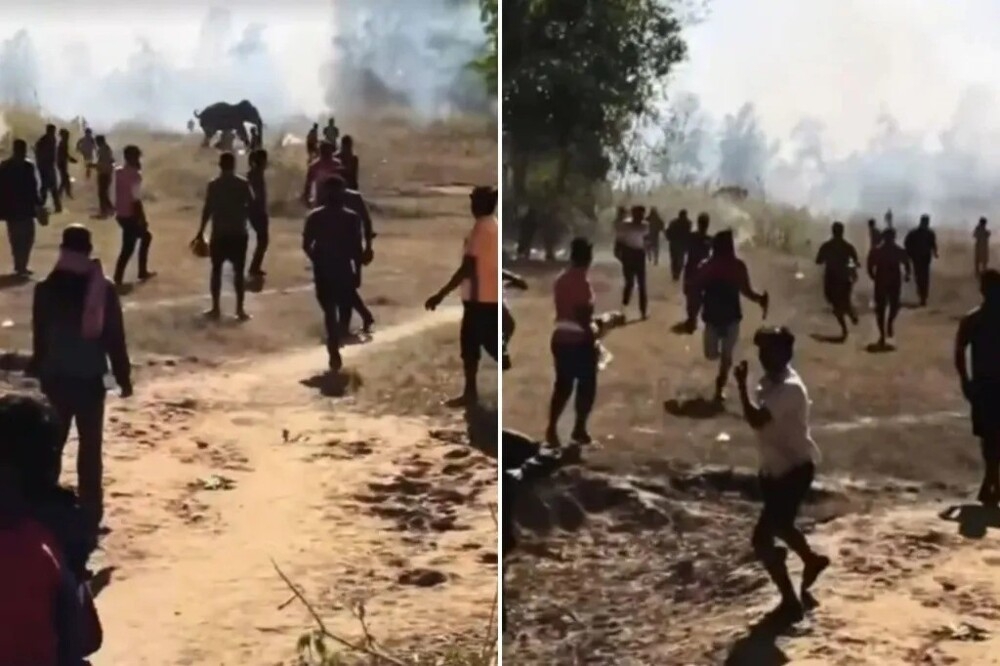 
        В&nbsp;Индии слон за&nbsp;10&nbsp;дней убил более двух десятков человек    