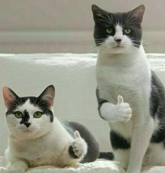 Подборка прикольных фото №3870