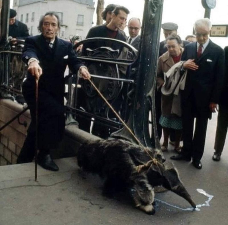 
        8&nbsp;знаменитостей, решившихся завести экзотических питомцев    