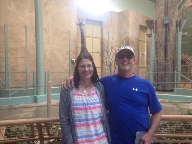 Подборка фотографий, сделанных в самый подходящий момент (25 фото) Подборка фотографий, сделанных в самый подходящий момент (25 фото)