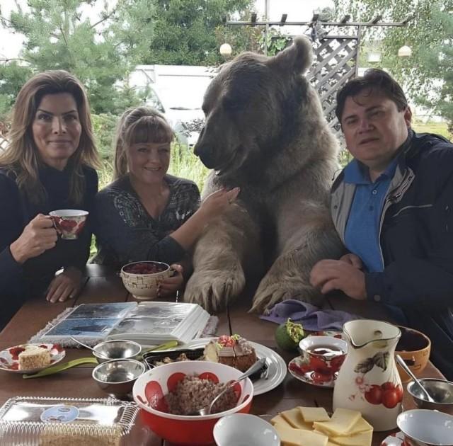 Подборка прикольных фото №3875