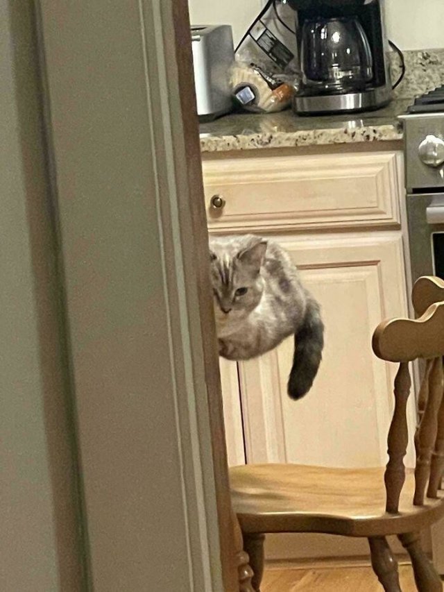 Подборка фотографий, на которые нужно посмотреть дважды (20 фото)