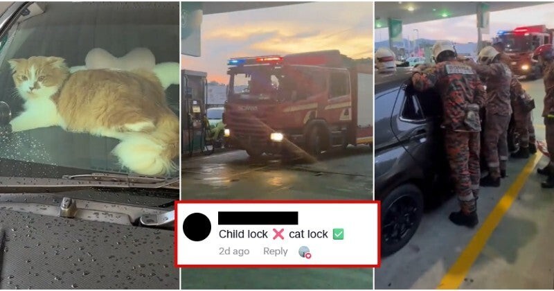 
        Хозяйке пришлось вызывать пожарных из-за кошки, случайно запершейся в&nbsp;машине    