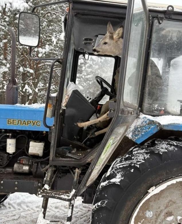 Подборка прикольных фото №3868