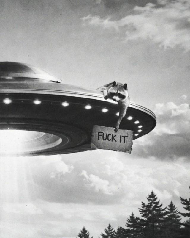 Подборка прикольных фото №3872