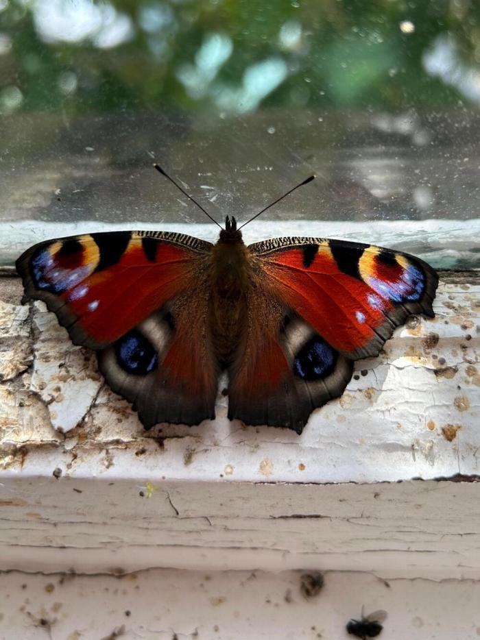 Подборка прикольных фото №3874