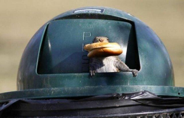 Подборка прикольных фото №3878