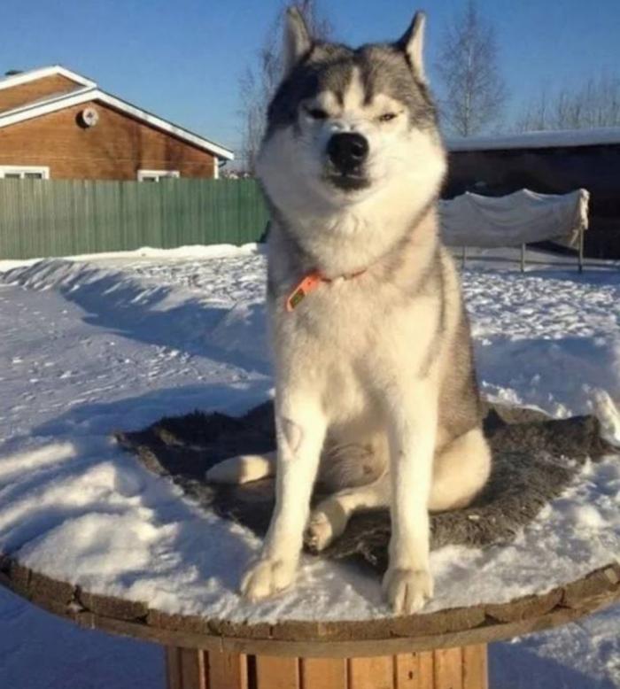 Подборка прикольных фото №3860