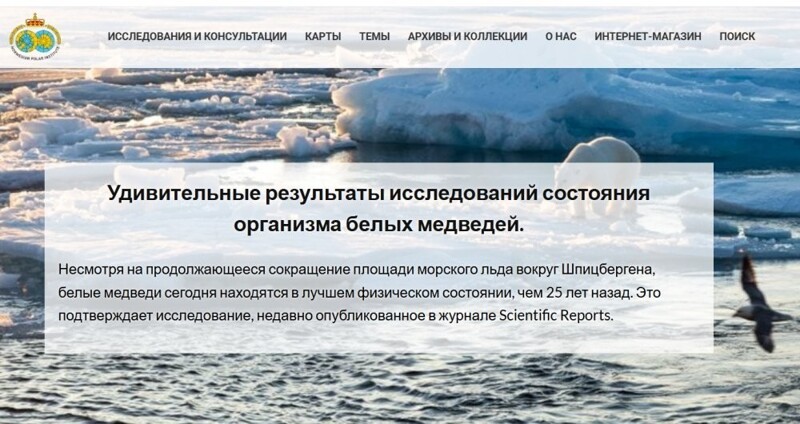 «Бросил тюленей и начал бегать по утрам»: белые медведи внезапно стали размера XXL
«Бросил тюленей и начал бегать по утрам»: белые медведи внезапно стали размера XXL
