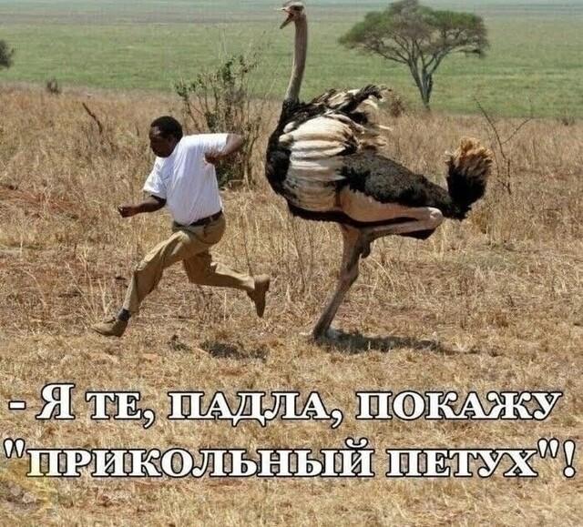 Подборка прикольных фото №3872