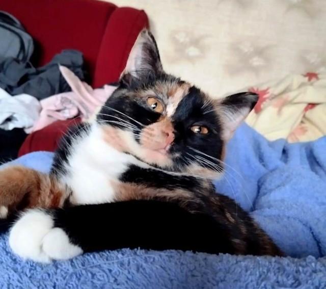 Подборка прикольных фото №3870