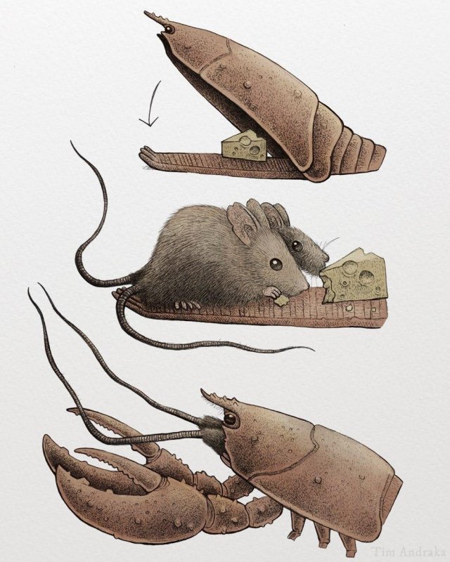 Лучшие шутки и картинки из Сети - 28.01.2026 (15 фото) Лучшие шутки и картинки из Сети - 28.01.2026 (15 фото)