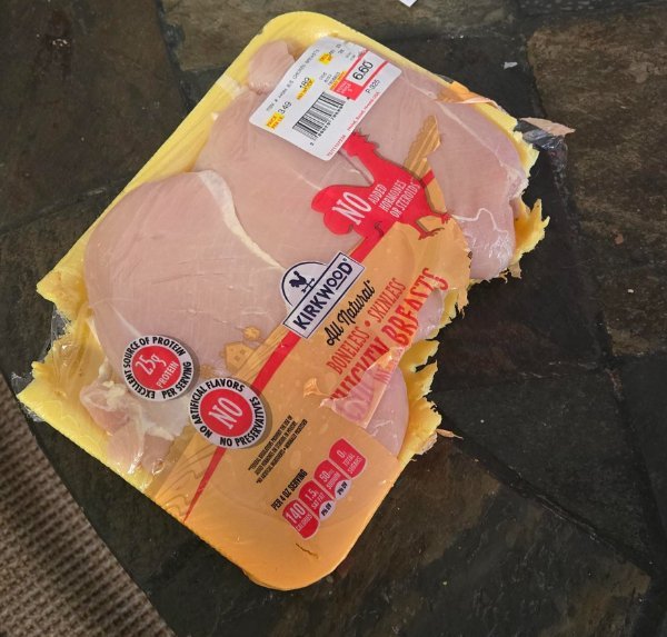 Люди, у которых выдался неудачный день (17 фото)