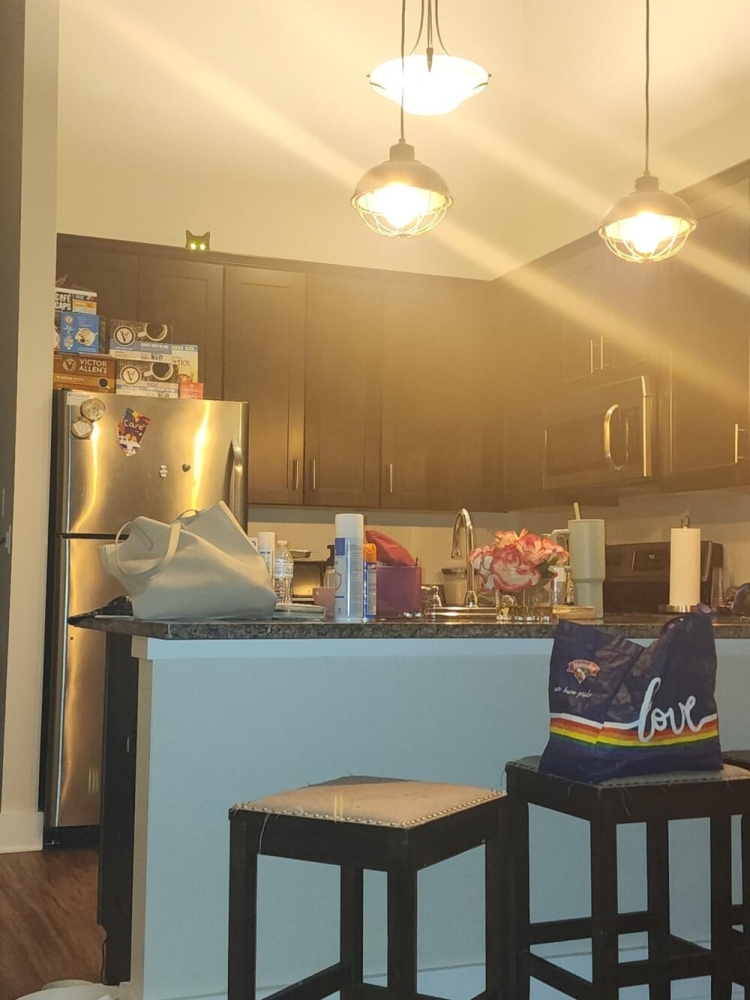 
        25&nbsp;вдохновляющих пушистых помощников, которые властвуют в&nbsp;домах и&nbsp;сердцах    