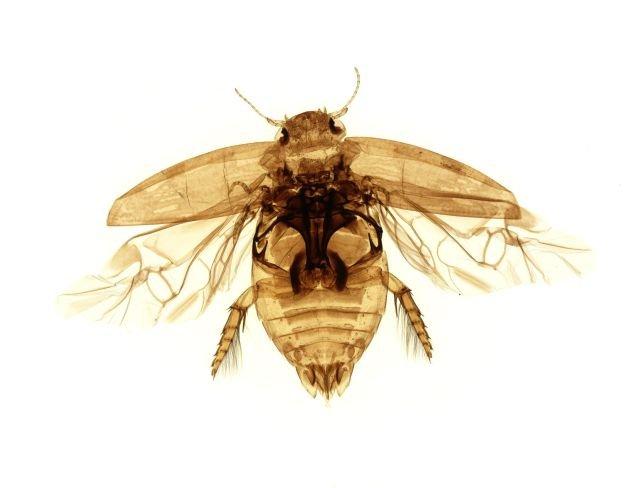 Подборка прикольных фото №3875